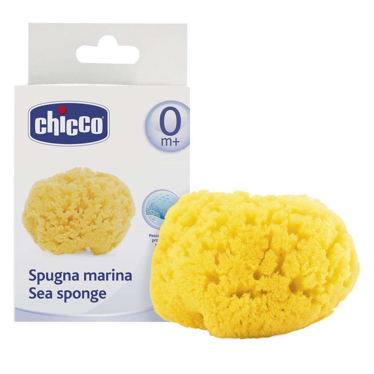 Chicco éponge de mer 100% naturelle