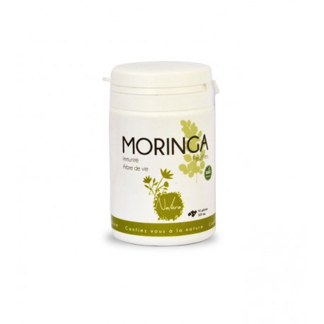 Biogatrana moringa en gélules 90 Gélules